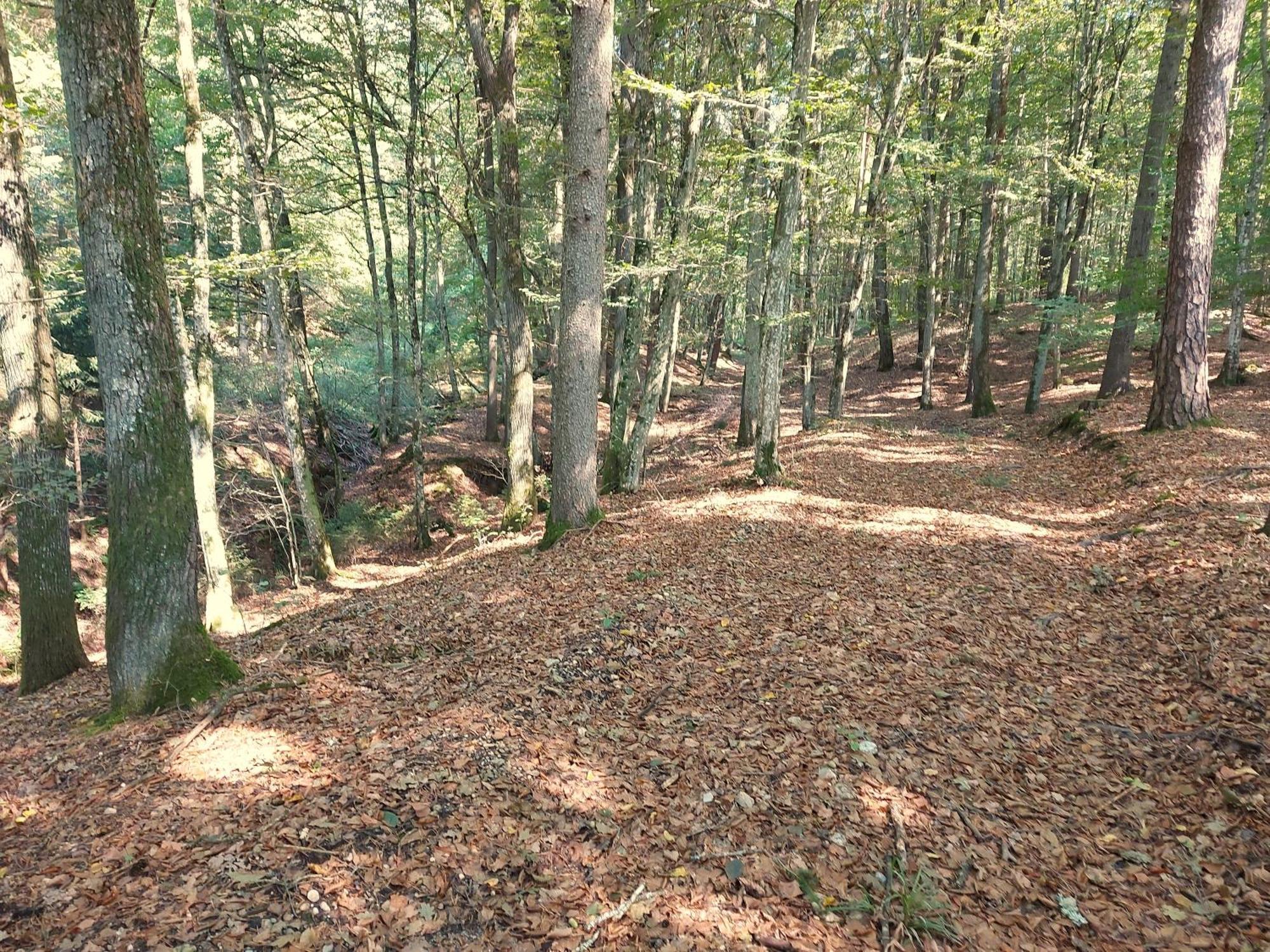 Landhaus Annmarie Limbach im Burgenland Eksteriør billede